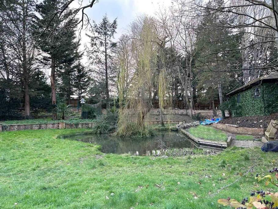 Forest Studio Apartment Gated Parking On 2 Acres Garden Chislehurst Exterior photo