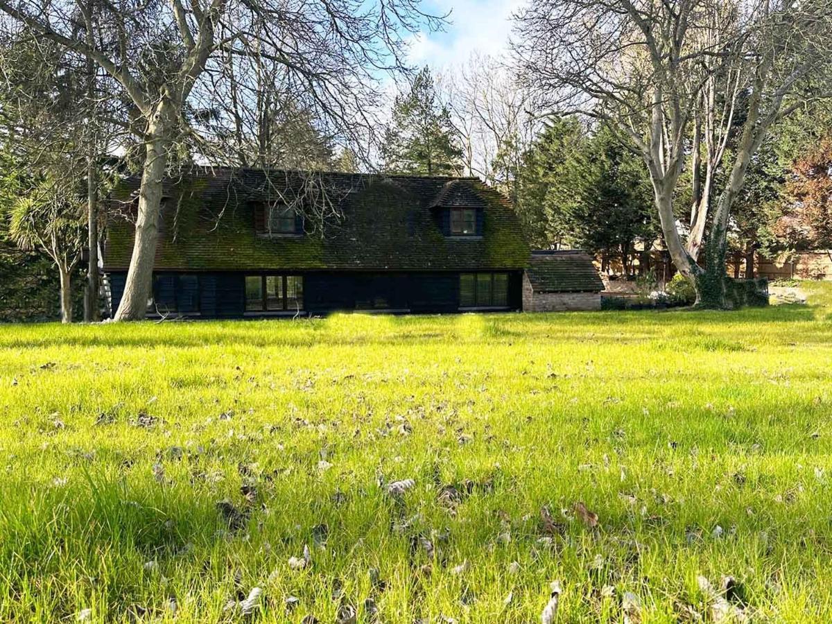 Forest Studio Apartment Gated Parking On 2 Acres Garden Chislehurst Exterior photo