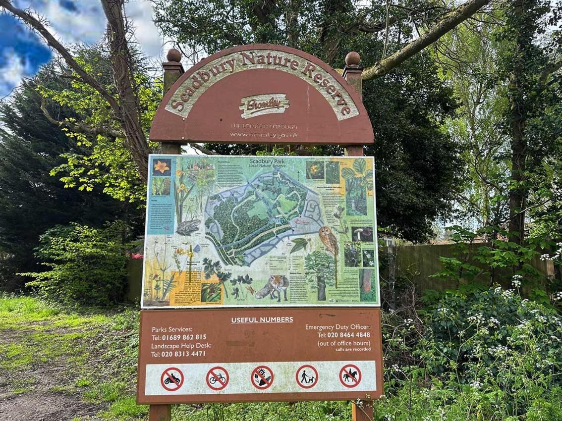 Forest Studio Apt Free Gated Parking On 2 Acres Garden Chislehurst Exterior photo