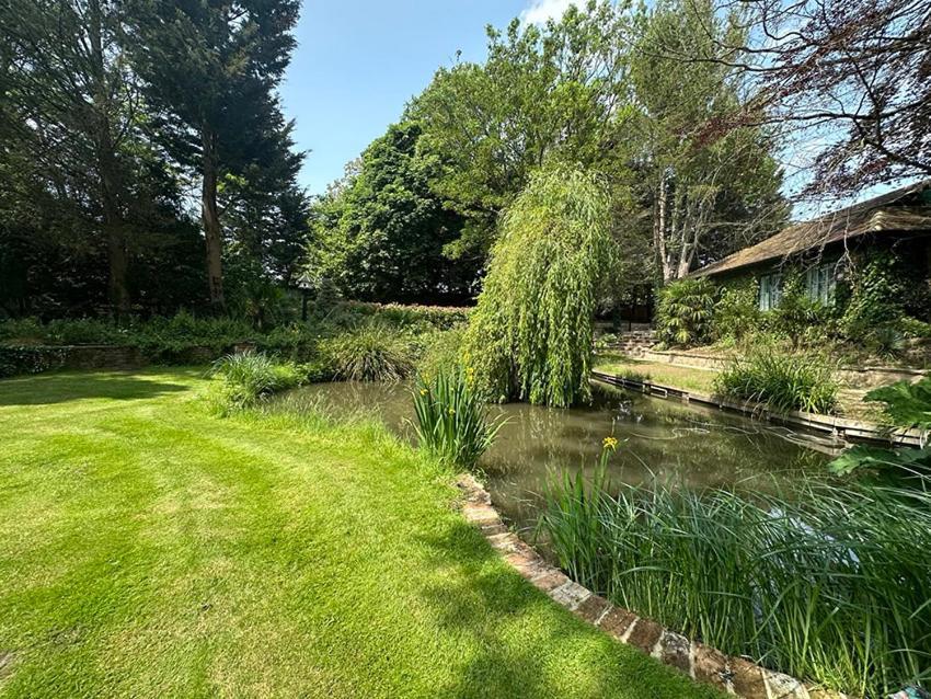 Forest Studio Apt Free Gated Parking On 2 Acres Garden Chislehurst Exterior photo